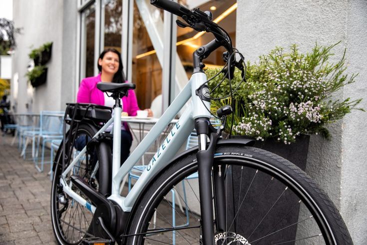 Top 5 Melhores Bicicletas Elétricas para Adultos da Bosch 6 Top 5 Melhores Bicicletas Elétricas para Adultos da Bosch - News - 6
